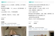三口齐进闲鱼：LABUBU搜索量环比上涨1000%，供不应求下现租赁新形式