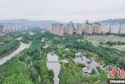 三口齐进西宁市举办六五环境日主题宣传活动